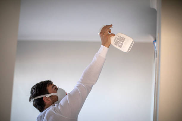 Best Residential Mold Removal  in Frankfort, IL
